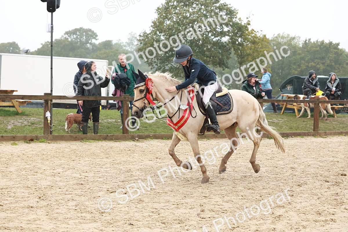 SBM_73660 - Supreme Championship Junior Pony 60cm & 65cm
