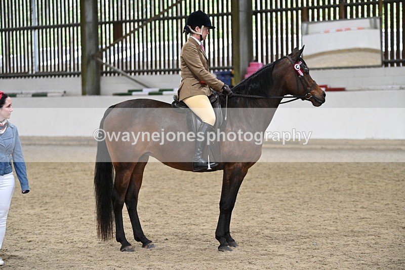 WJ7_4614 - Afternoon Champs