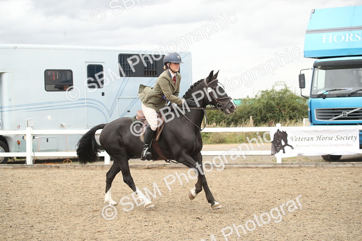 SBM_18486 - Class 510a - Working Veteran 90cm (15-19)