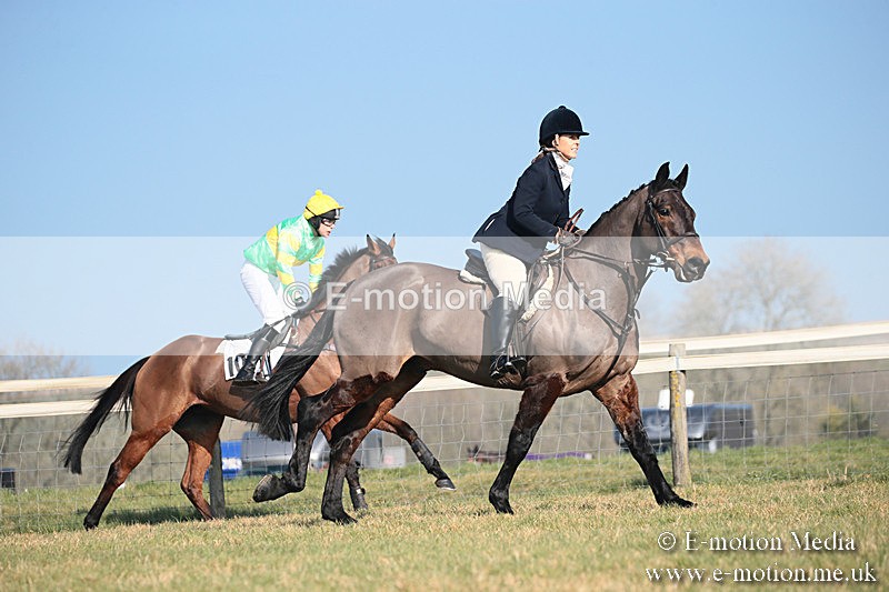PtP 230219 278 - Vine & Craven Point-To-Point - Barbury 23/02/19