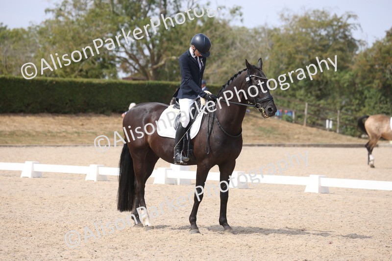 20260816-1072 - Class 4 - Novice 6