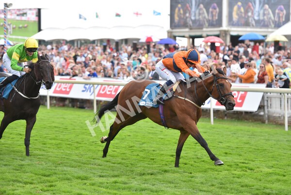 yr23072022r7-30 - Race 7 5.35pm Sky Bet Paying Extra Places Stakes