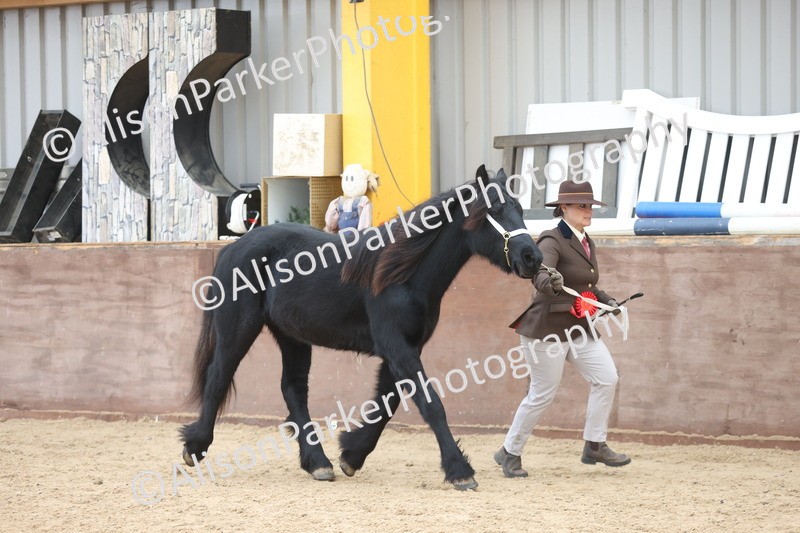 20251109-1156 - Championship