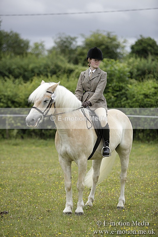 BVR160717-1556 - Ring 1 BVRC Show 16/07/17