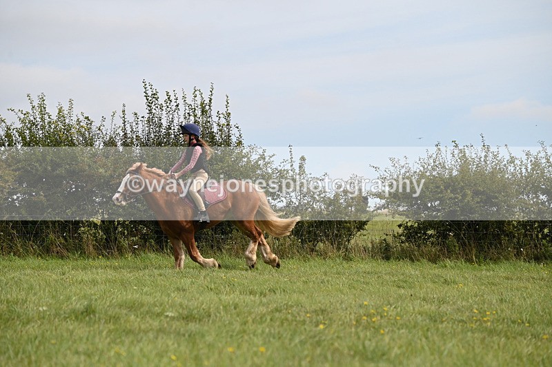 WJ6_8284 - Time 12:18 to 12:59