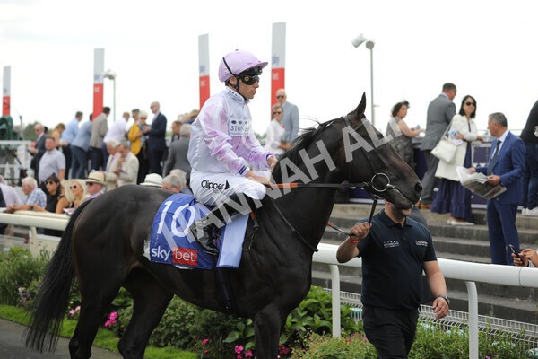 yr20082022r2-16 - Race 2 2.35pm Sky Bet Melrose Stakes