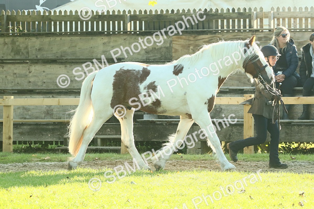 SBM_57413 - S37 - Starters In Hand Showing