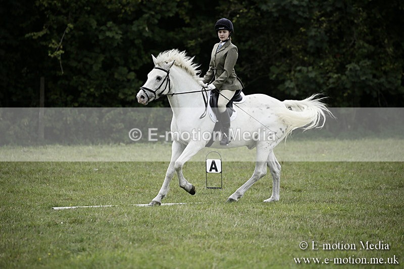 BVR080918 361 - BVRC Novice Dressage & CR 08/09/18