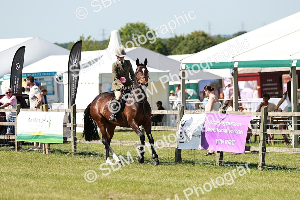 SBM_18498 - Class 112-113 - BSPS LIHS Working Sports Pony
