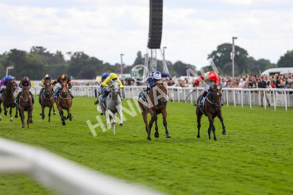 290723-Race 5-Baez-3989 - Race 5 4.35pm Sky Bet Prize Drop Handicap