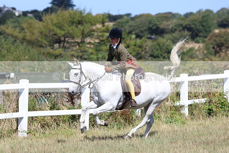 3E7A6397 - Working Hunter Championship