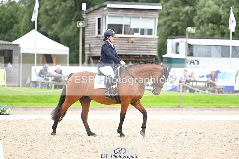 230813-132250-07552 - Cls 13 Medium Bronze 13.15 to End