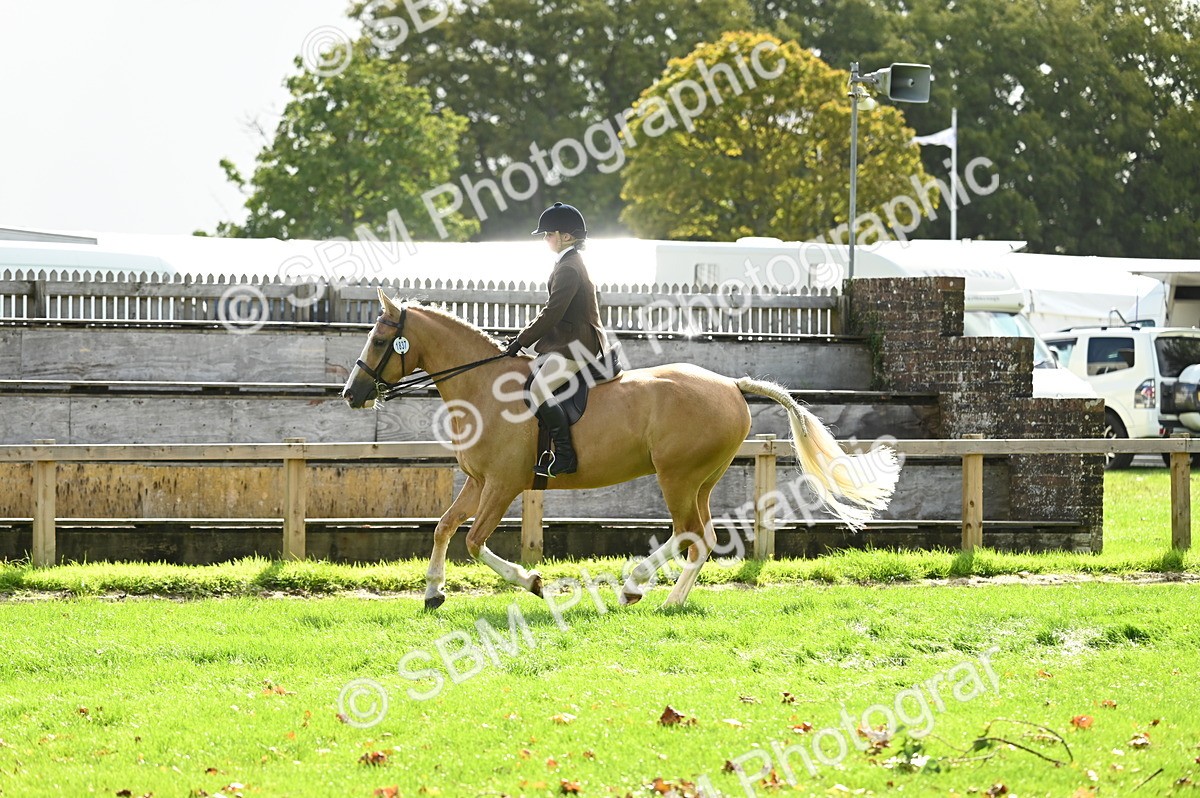 SBM_01716 - S2 - TSR Ridden Horse Showing