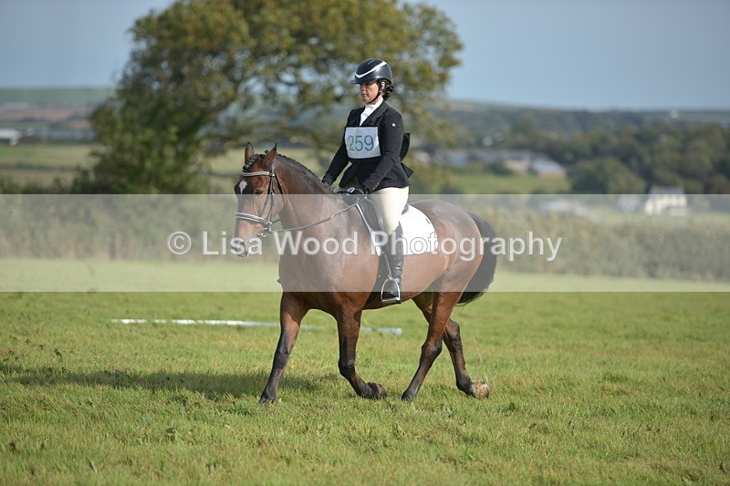 RAY_7715 - Class 2B: Trekenning Open: Dressage