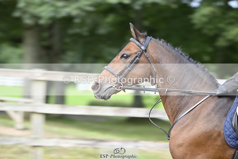 240823X-152728-18704 - 70cm R2 15.20 to 16.40