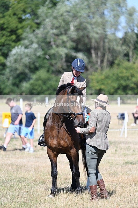 WJ7_4214 - Class 9 Mountain & Moorland Ridden