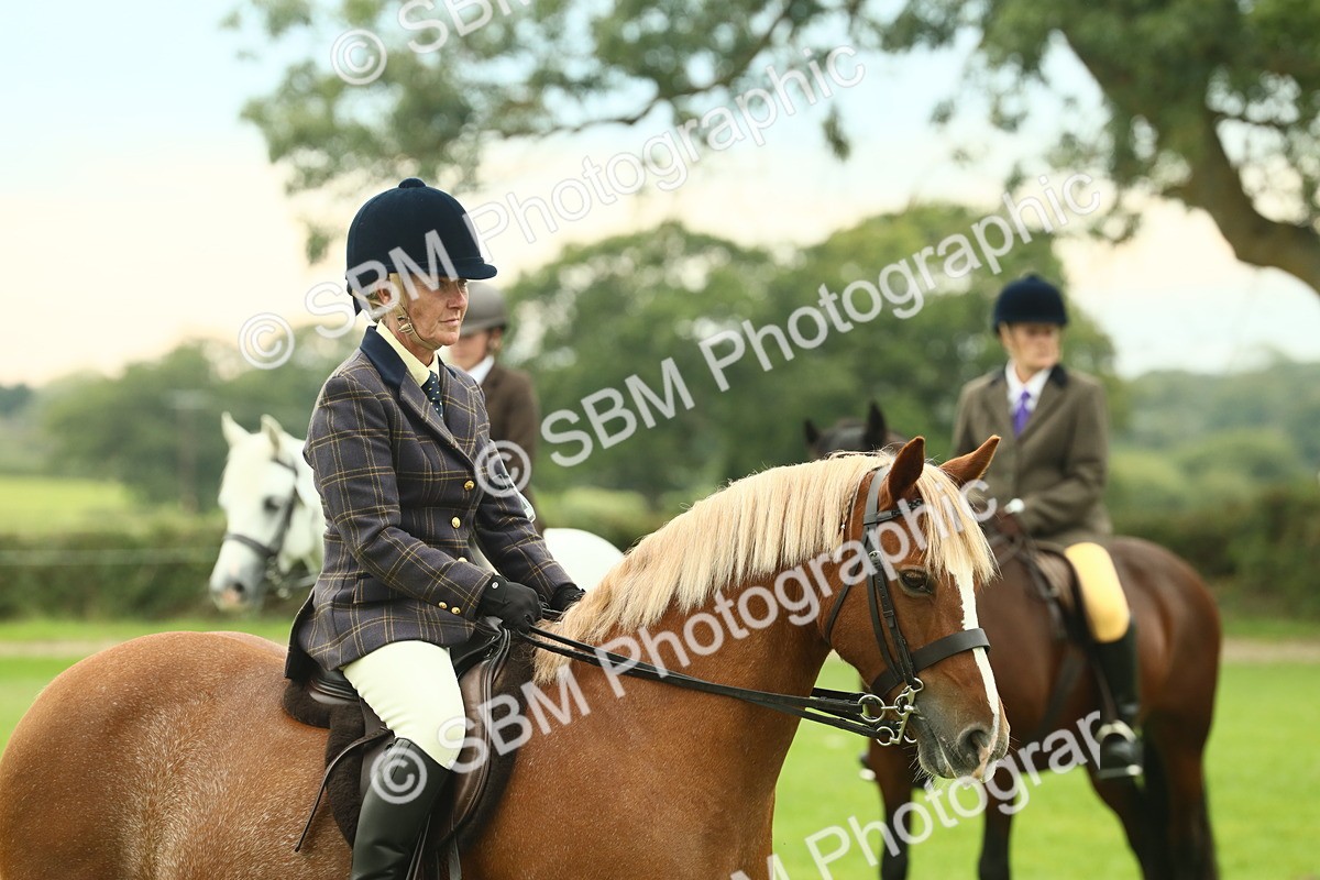 SBM_72079 - S60 - Mountain & Moorland Ridden Large Breeds