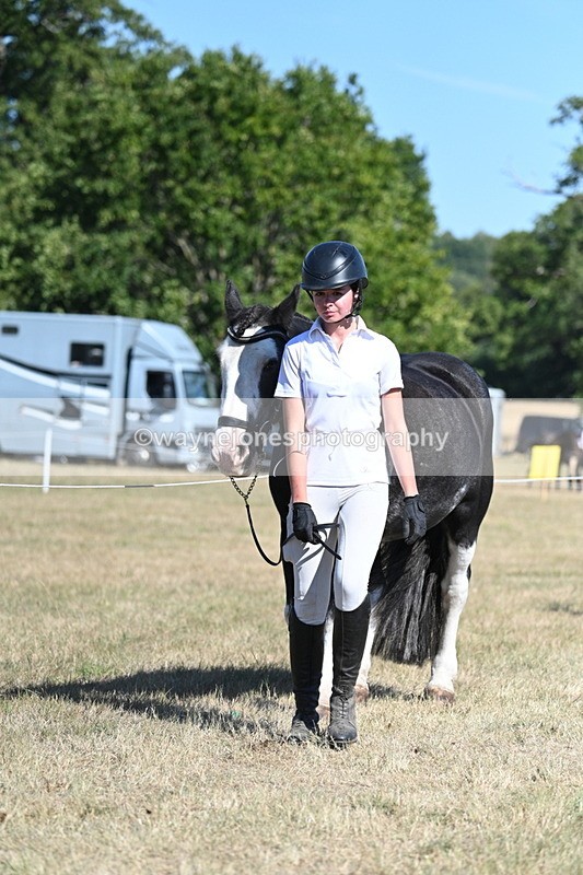 WJ7_1799 - Class 43 Best Six Legs (In hand)