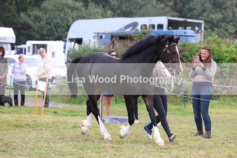 3E7A4142 - Class 15: Two Year Olds