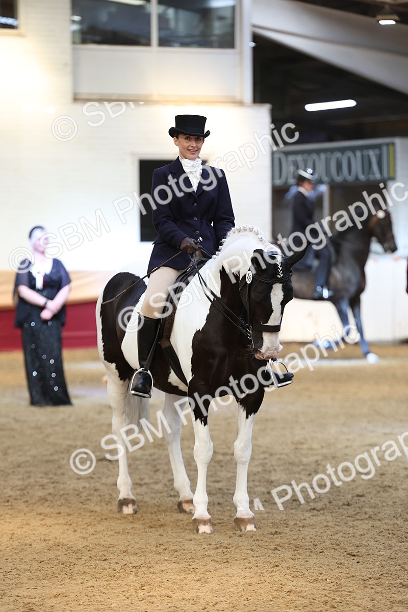 SBM_23757 - class 906 - Supreme Final - Ridden Pre Vet