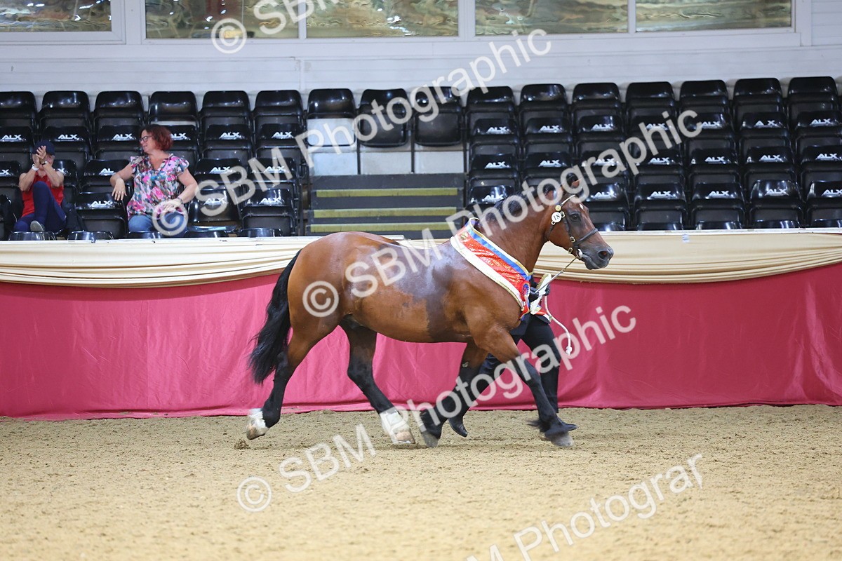 SBM_25028 - Grand Supreme Final Overall Champion