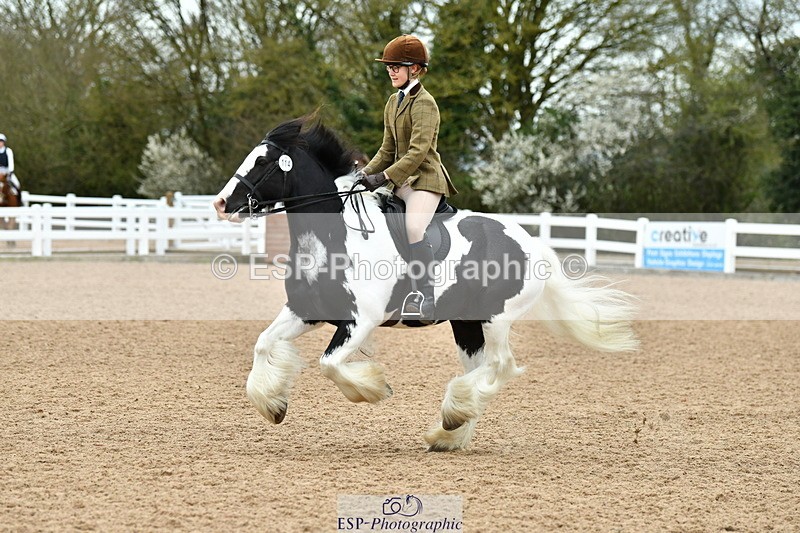 230416A-115603-04249 - Cls 72+73+69 Welsh, Trad Cob and Foreign