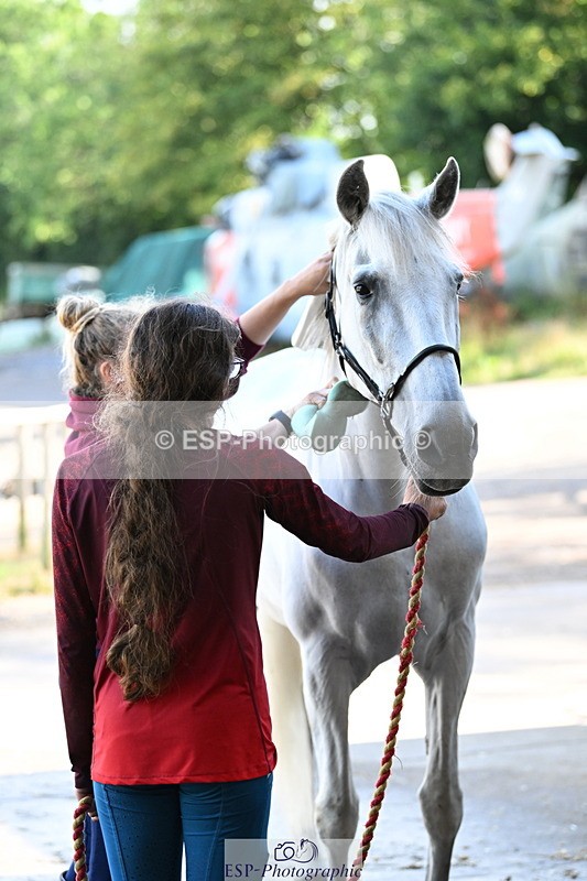 240809A-085852-00040 - Stable Shots