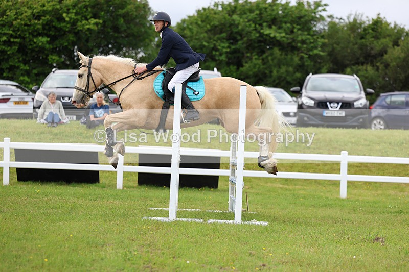 3E7A7650 - Class 13: Senior British Novice/90cm open