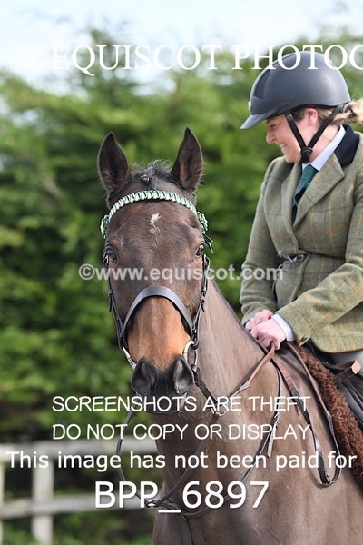 BPP_6897 - RING 1  (RIDDEN HORSES / IN HAND / VETERAN ETC)