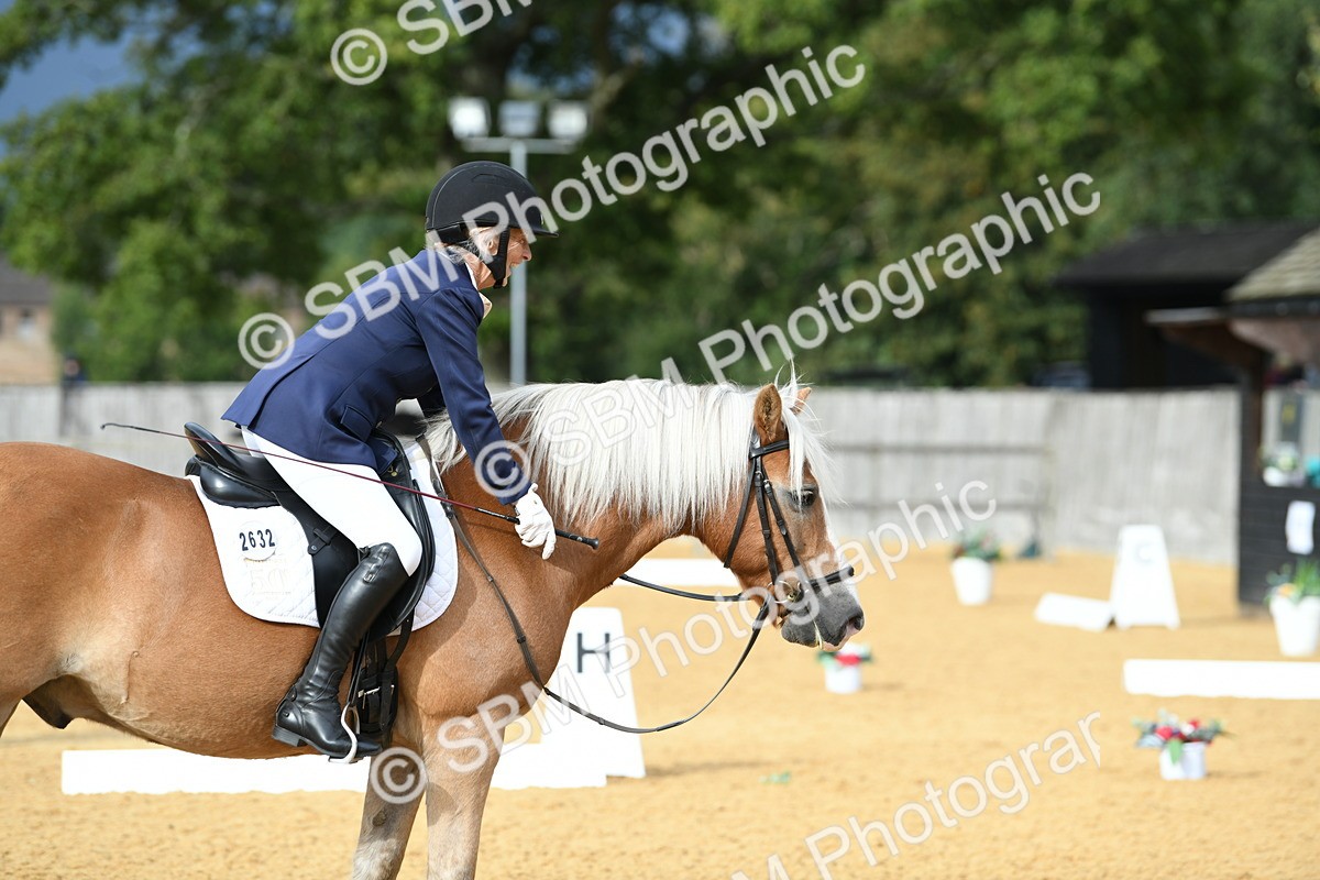 SBM_10937 - D28 Elementary Taster Elementary 42