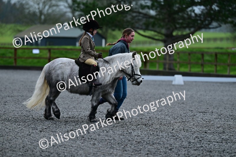 20260125-0795 - Class 9a - Walk Trot Assisted