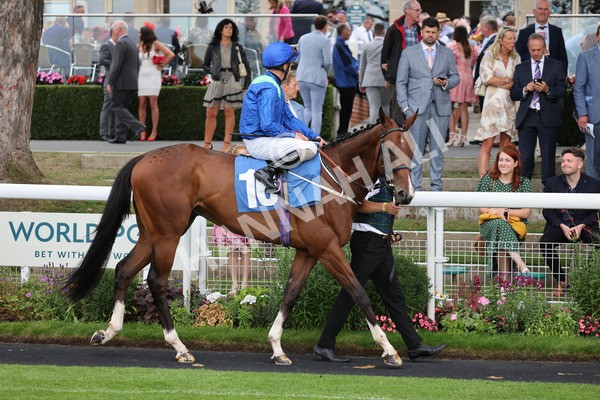 yr20082021r7-5 - Race 7 5.10pm Sky Bet Mile
