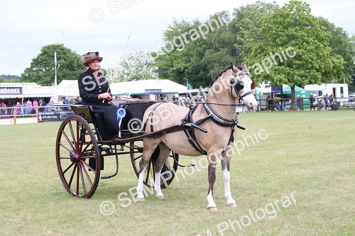 SBM_05925 - Class 12-15 - HOYS Private Driving