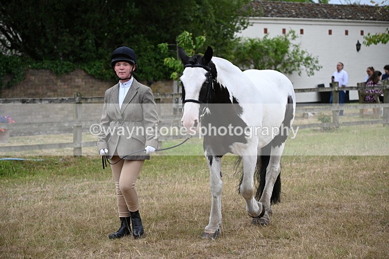WJ6_8022 - Class 10 Coloured in Hand