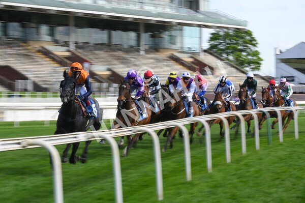 yr13052021r7-11 - Race 7 4.50pm Autohorn Stakes