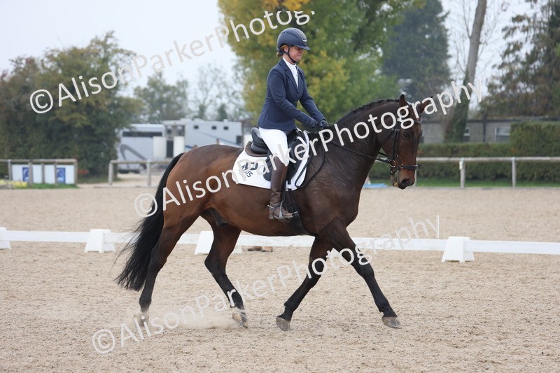 20251012-0718 - Class 6 - Elementary 6