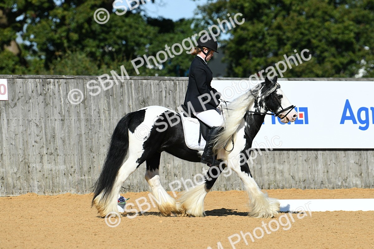 SBM_18079 - D4 - Small Tour Championship - Intro B