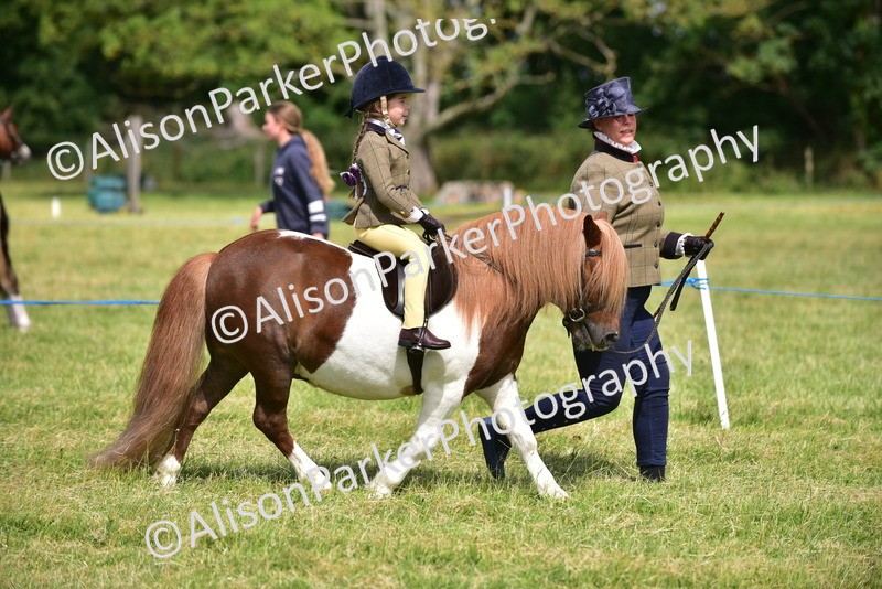 20260614-1141 - Class 11a - Lead Rein Pony (Unplaited)