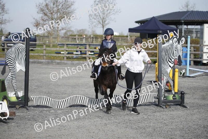 20250412-0131 - Show Jumping