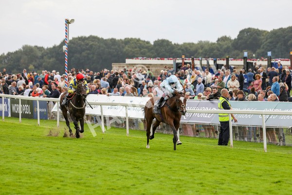220824-Race 5-Scenic-7814 - Race 5 4.10pm British EBF & Sir Henry Cecil Galtres Stakes