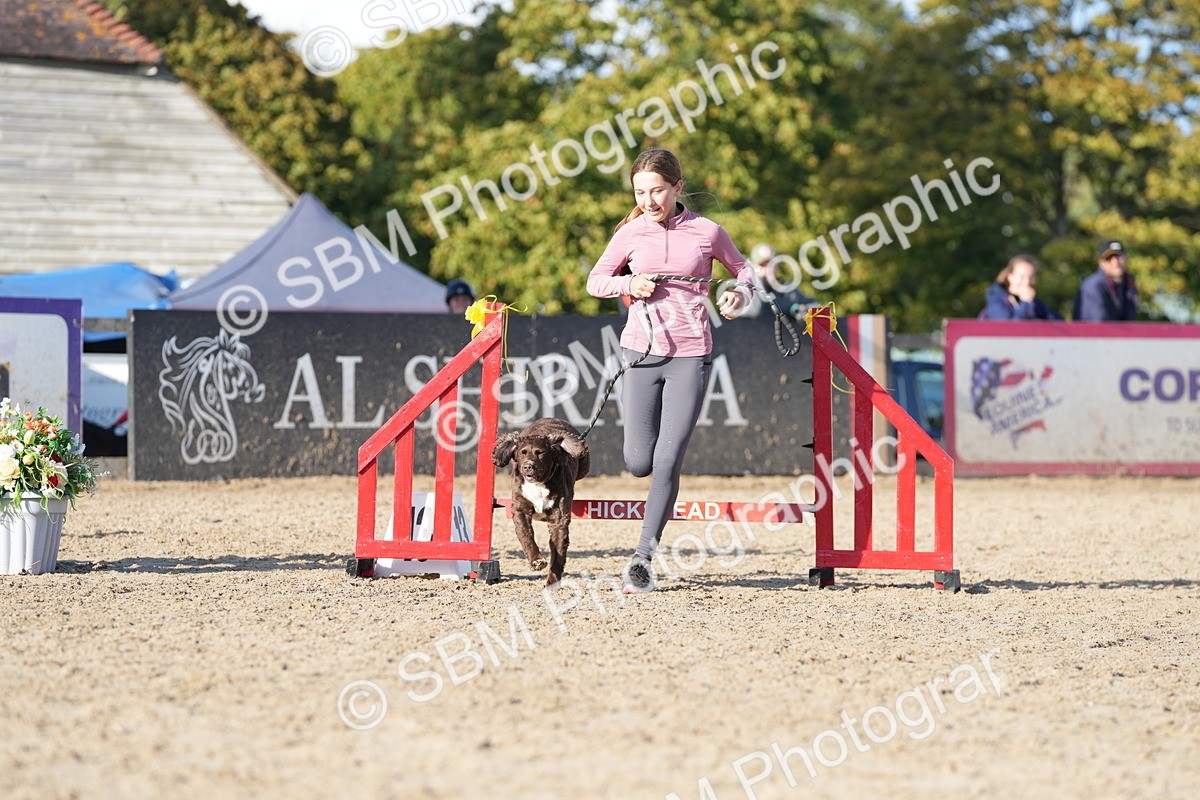 SBM_28961 - J43 - Horse & Hound Open 50cm