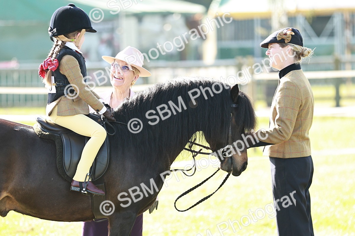 SBM_11151 - Class 106-107 - BSPS LIHS Working Sports Pony