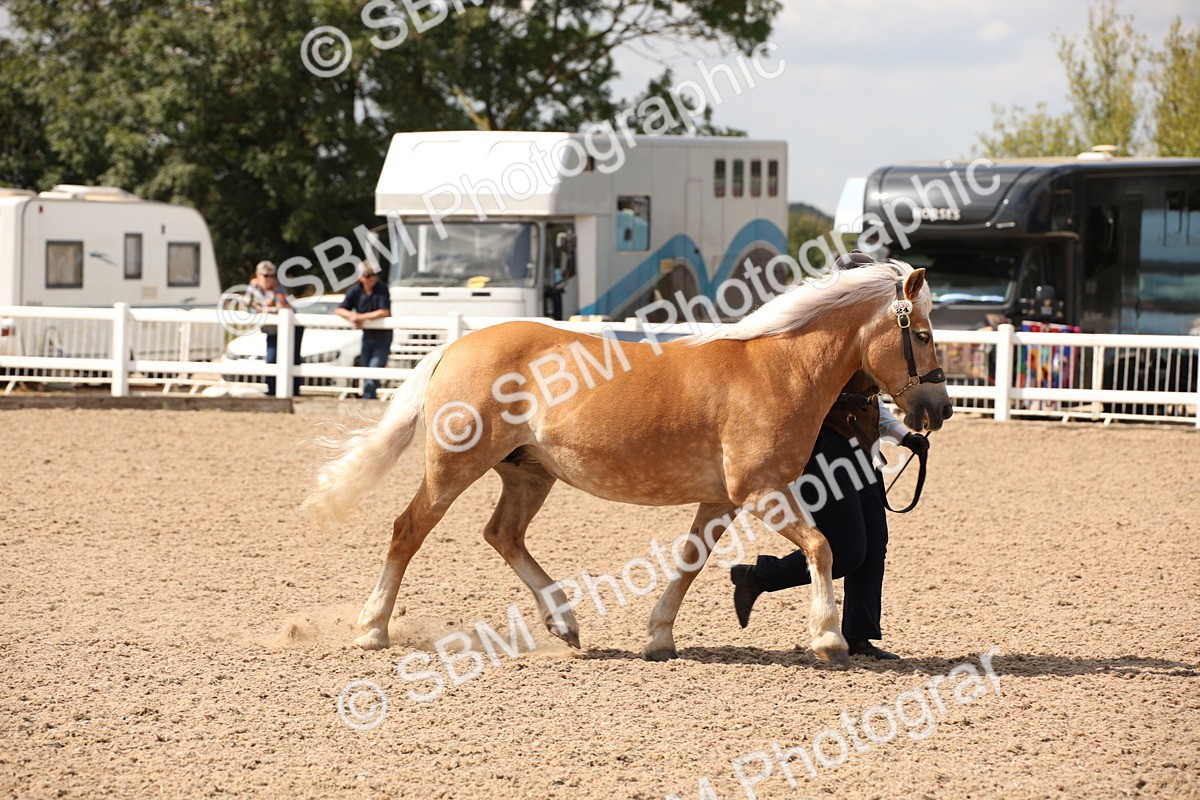 SBM_04568 - Class 20 IH Veteran