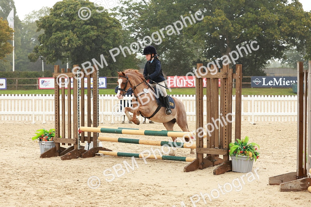SBM_73330 - Supreme Championship Junior Pony 60cm & 65cm