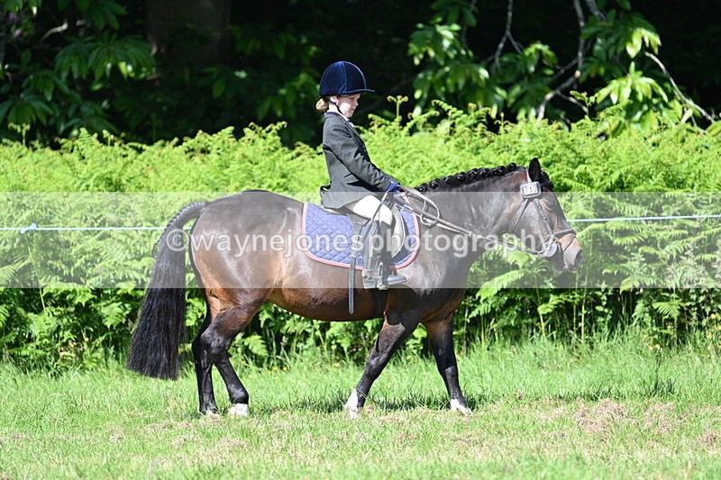 WJ7_0756 - Class 8 First Rally Pony