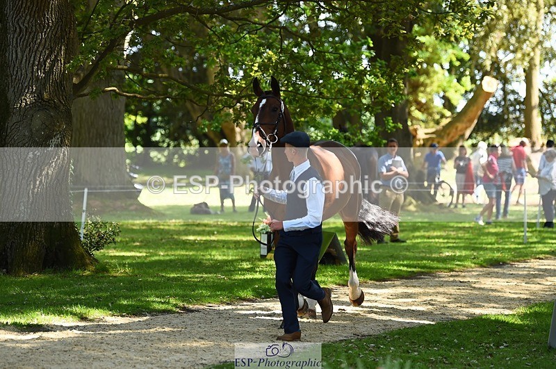 230524-152402-00239 - 325-LONESTAR-Thomas_Hawke-WEDTrotUp+DR