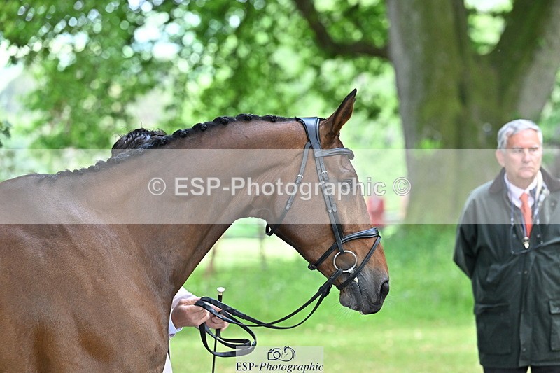 250521A-151123-00328 - B-303-Alexander.Bragg-SHANNONDALE.ALDO