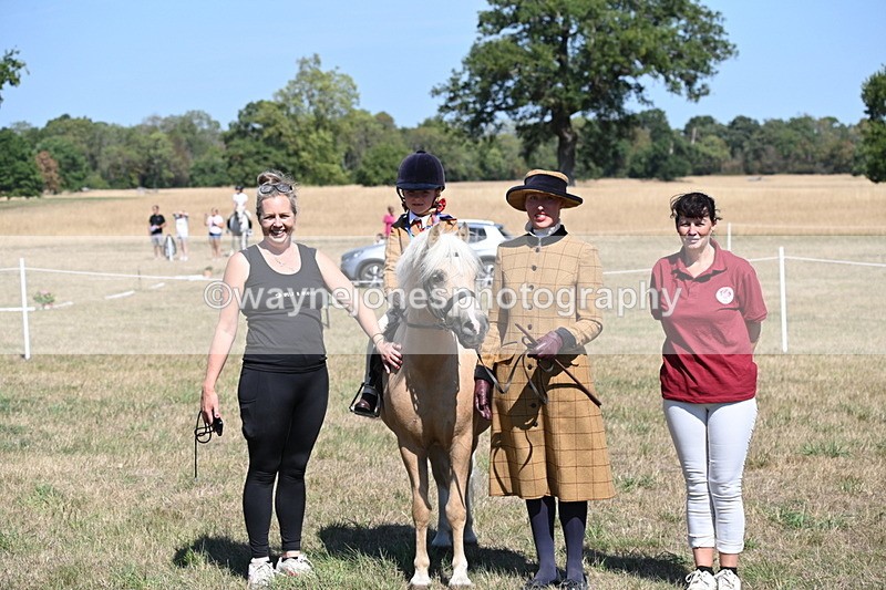 WJ6_8131 - Class 36 Lead Rein