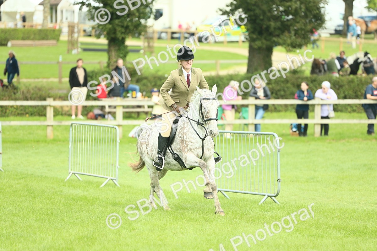 SBM_42249 - S29 - Novice & Newcomers Working Hunter Pony