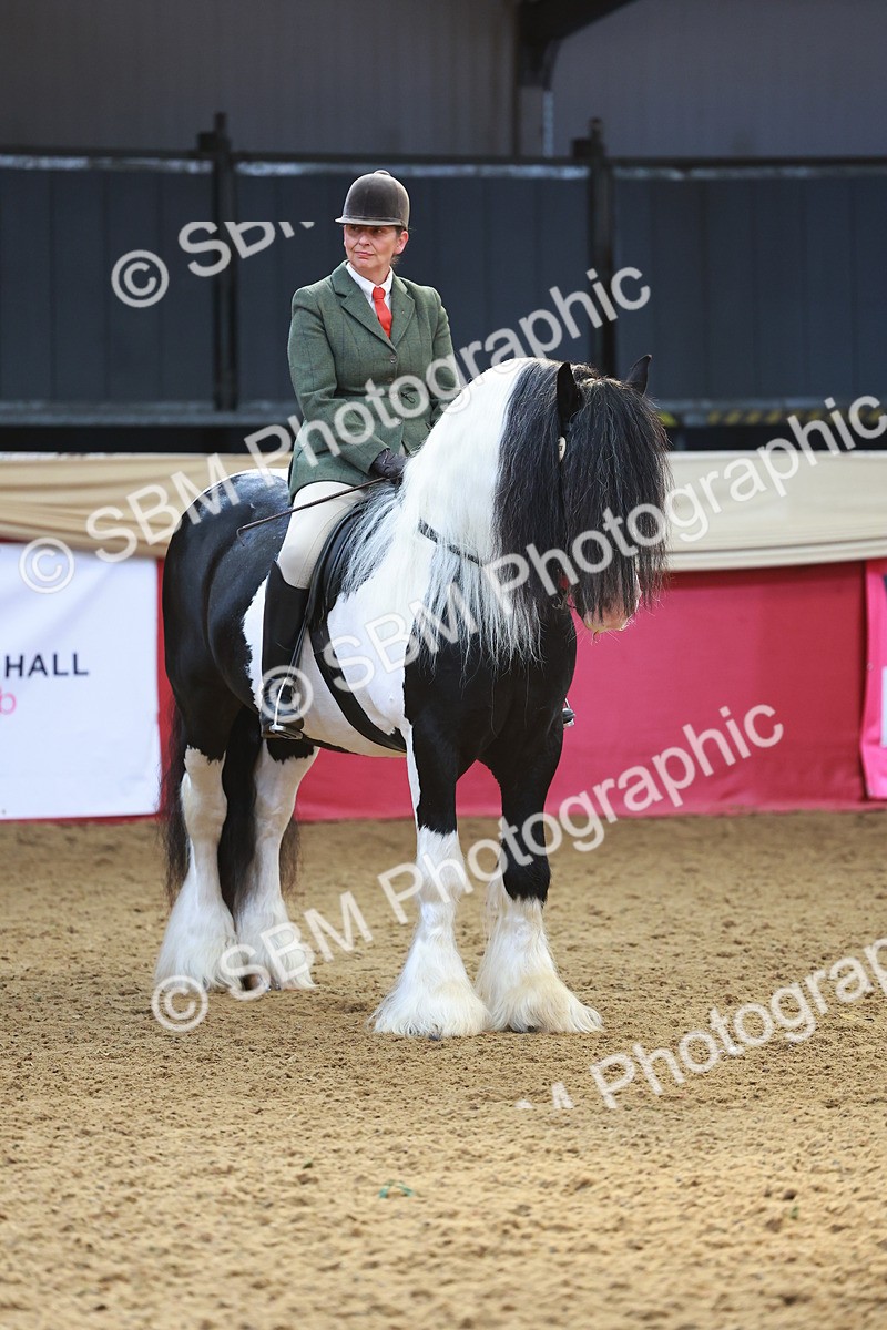 SBM_09848 - Class 102 - HOYS Veteran Qualifier - Ridden Veteran